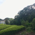 自己紹介 〜土地購入まで〜