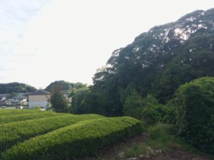 自己紹介　〜土地購入まで〜